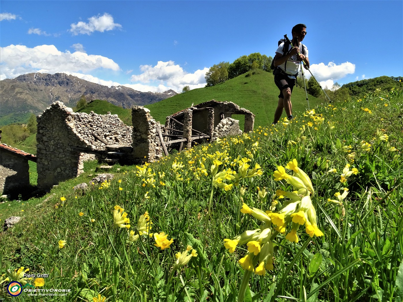 46 Primula maggiore (Primula elatior) con casolare in rudere alla Bocchetta di Desio .JPG